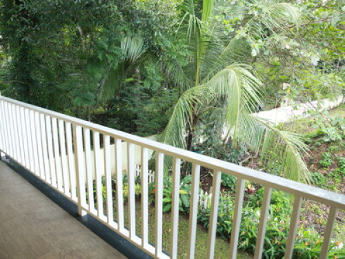 Friendly family in Kumarakom KERALA - Gallery - 25
