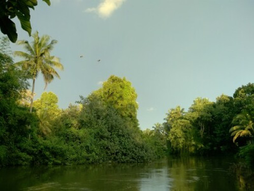 Friendly family in Kumarakom KERALA - Gallery - 6