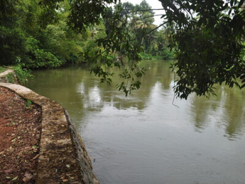 Friendly family in Kumarakom KERALA - Gallery - 19