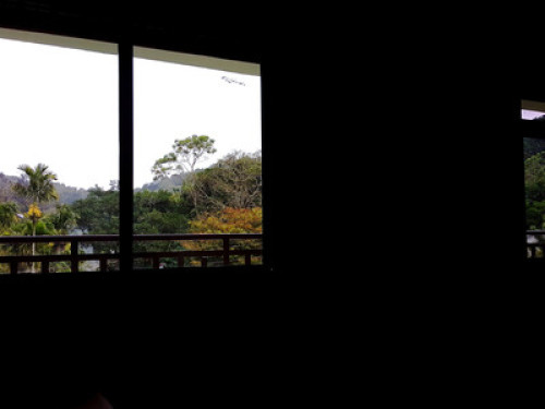 Thekkady homestay - Gallery - 5
