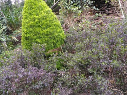 PHILIP MARY FARM STAY - Gallery - 33
