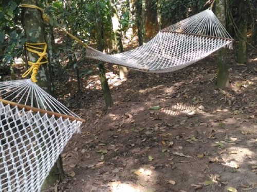 PHILIP MARY FARM STAY - Gallery - 5