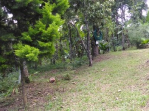 PHILIP MARY FARM STAY - Gallery - 10
