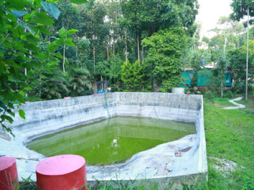 PHILIP MARY FARM STAY - Gallery - 30
