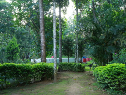 PHILIP MARY FARM STAY - Gallery - 29