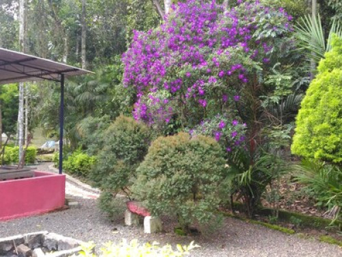 PHILIP MARY FARM STAY - Gallery - 13