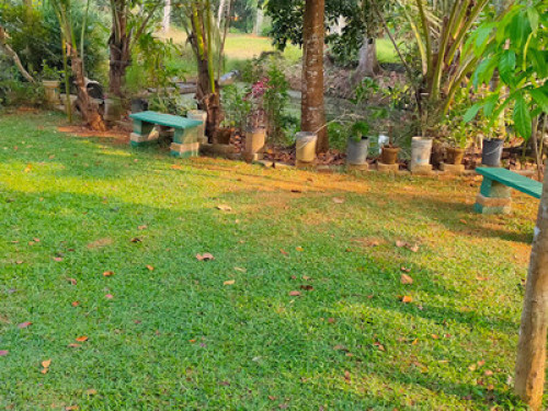 Kuttickattil Gardens Home Stay - Gallery - 6