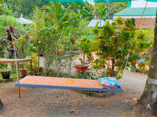 Kuttickattil Gardens Home Stay - Gallery - 12