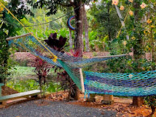 Kuttickattil Gardens Home Stay - Gallery - 11