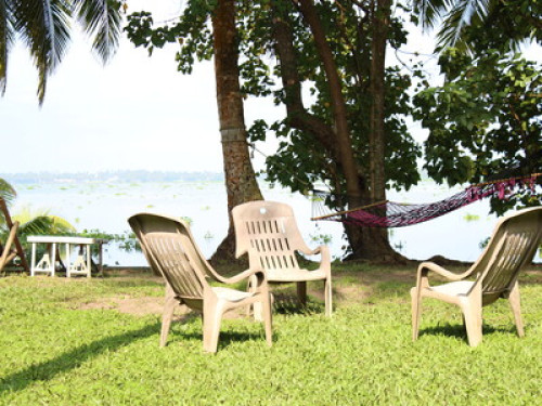 Awesome host Ernakulam - Gallery - 5