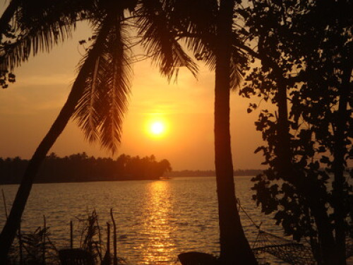 Awesome host Ernakulam - Gallery - 6