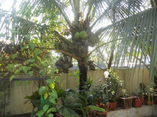 Palakal Residency Homestay Private  - Gallery - 26