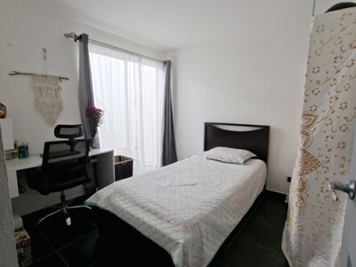 Pura Vida Sisters Homestay - Gallery - 2