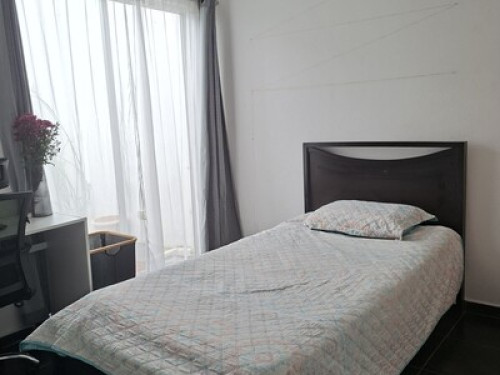 Pura Vida Sisters Homestay - Gallery - 8