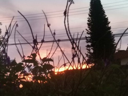 Nature lovers!! - Gallery - 4