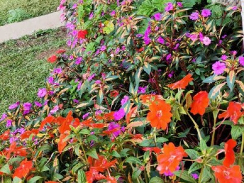 Nature lovers!! - Gallery - 15