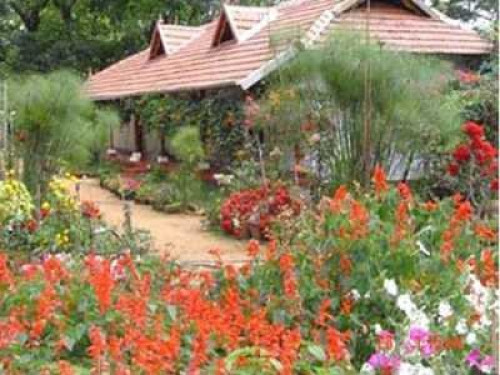 Eco Friendly Homestay