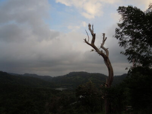 3R Retreat, off road to hilltop - Gallery - 5