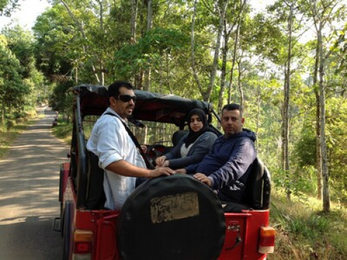 Ellath Homestay  - Gallery - 6