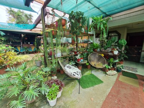 Enjoy Nature - Gallery - 2