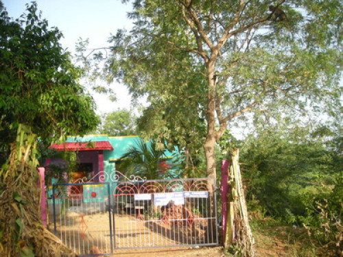 Green and clean house for stay - Gallery - 4