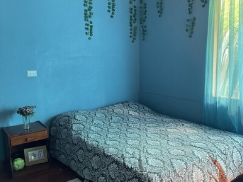 Room in a peaceful place  - Gallery - 8