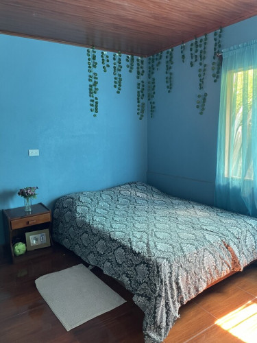 Room in a peaceful place  - Gallery - 2