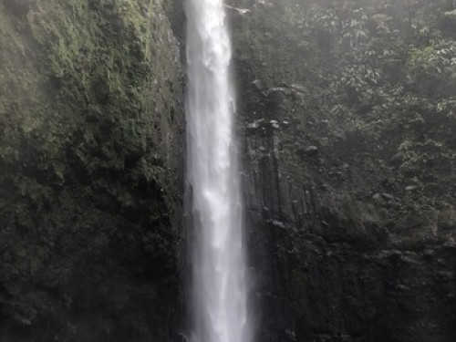 House near Rio Celeste - Gallery - 8