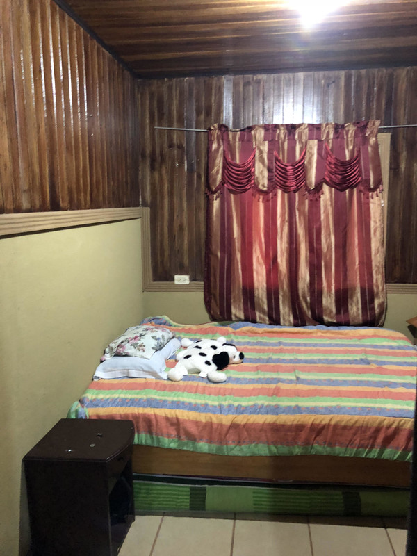 Room 2(Single Bed) - 1