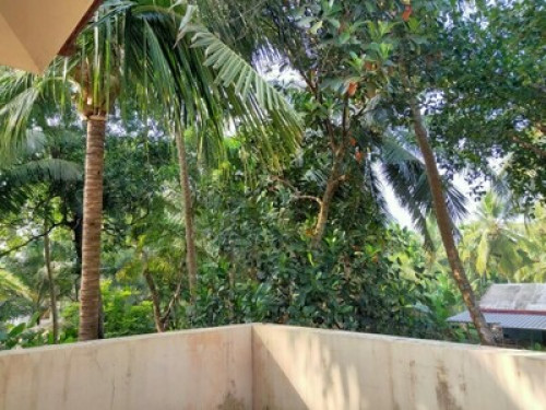 Anashwara Homestay - Gallery - 36