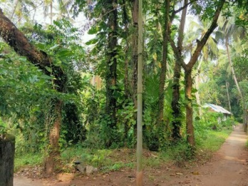 Anashwara Homestay - Gallery - 35