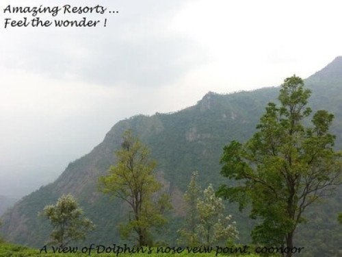 AMAZING RESORTS ..feel the wonder.. - Gallery - 6