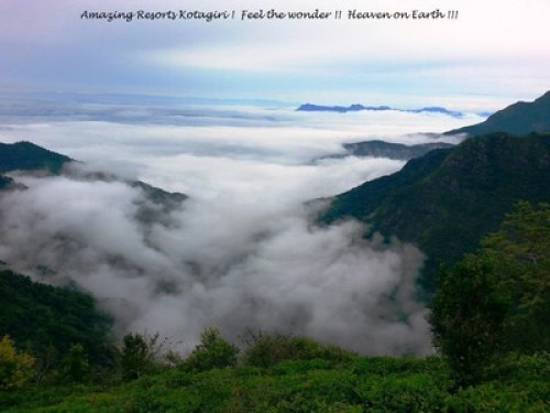 AMAZING RESORTS ..feel the wonder.. - Gallery - 18