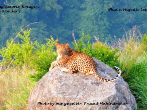 AMAZING RESORTS ..feel the wonder.. - Gallery - 14