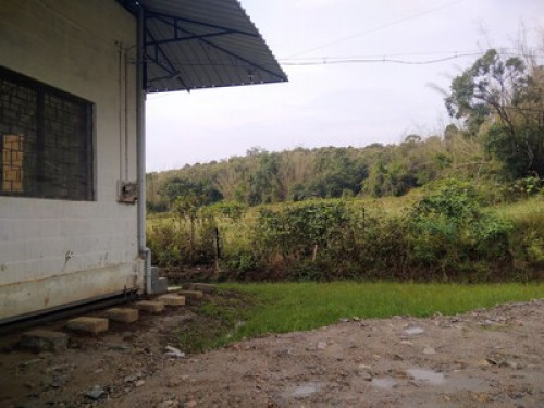 Jungle Guest House - Gallery - 4