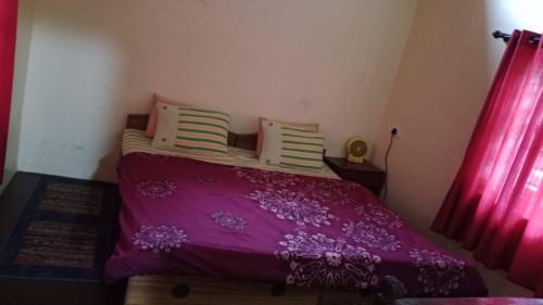 Kanjira House - Gallery - 35