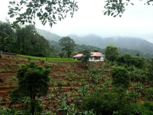 Wayanad Adventures  eco lodging.  - Gallery - 2