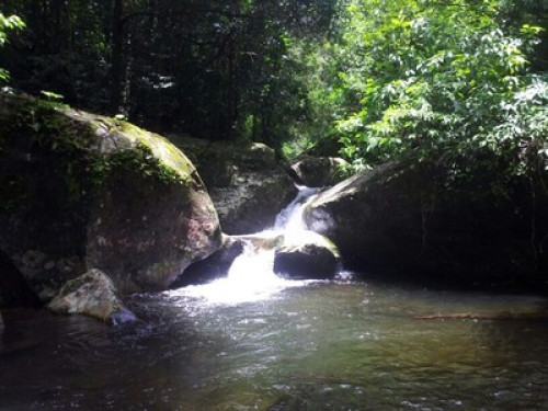 Wayanad Adventures  eco lodging.  - Gallery - 5