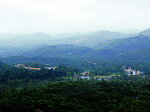 Wayanad Adventures  eco lodging.  - Gallery - 11