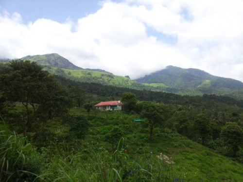 Wayanad Adventures  eco lodging.  - Gallery - 6