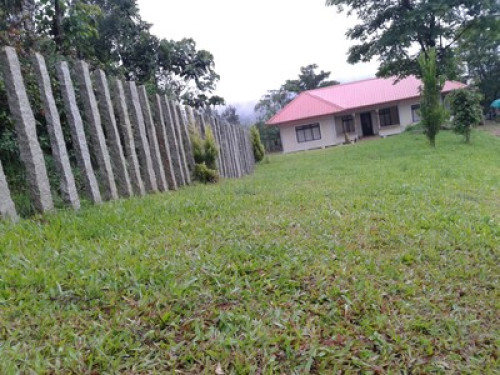 Wayanad Adventures  eco lodging.  - Gallery - 9