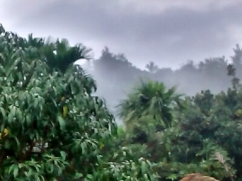 Mayura Cottage WAYANAD Kerala India - Gallery - 15