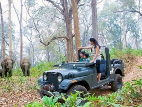 Wayanad Homestay - Gallery - 9