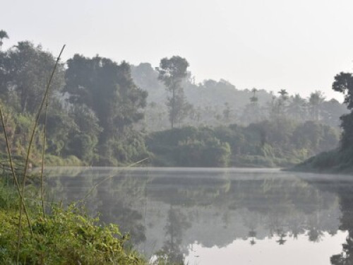 Wayanad Homestay - Gallery - 4