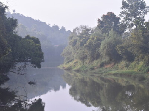 Wayanad Janu's Homestay - Gallery - 4