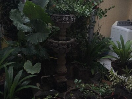 A family place - Gallery - 5