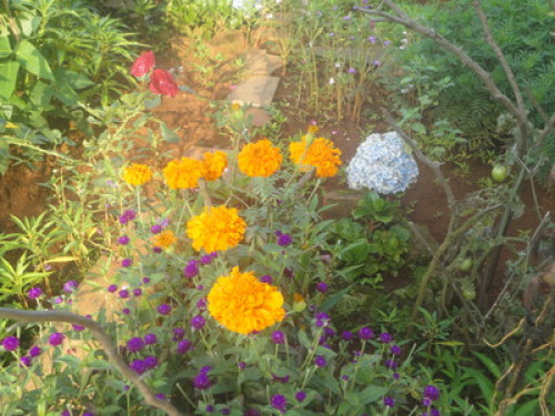 Perfect place for a quiet holiday - Gallery - 5