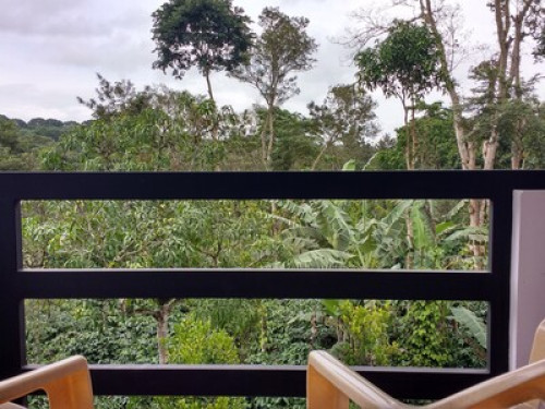 Elephant Trail, Coorg - Gallery - 9