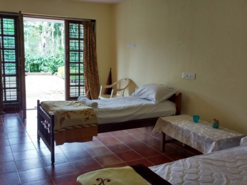 Elephant Trail, Coorg - Gallery - 13