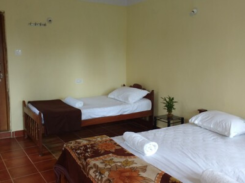 Elephant Trail, Coorg - Gallery - 3